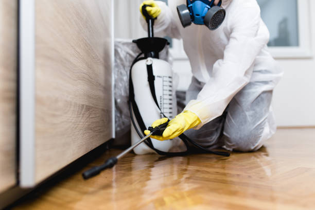 Flea Control Services in New York, NY