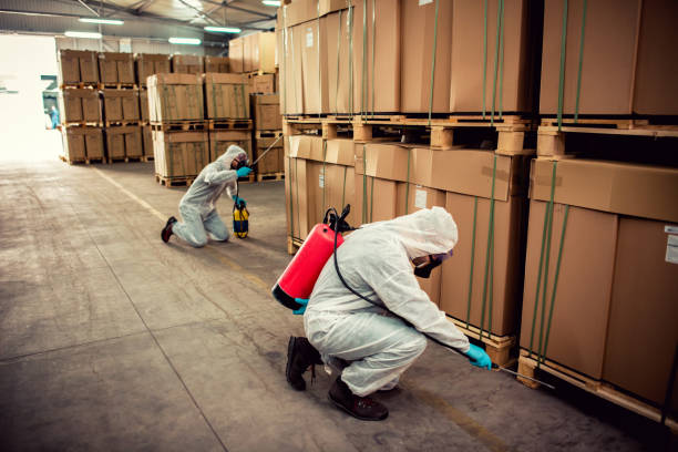 Best Termite Control Services  in New York, NY