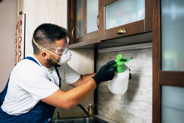 Best Mosquito Control Services  in New York, NY