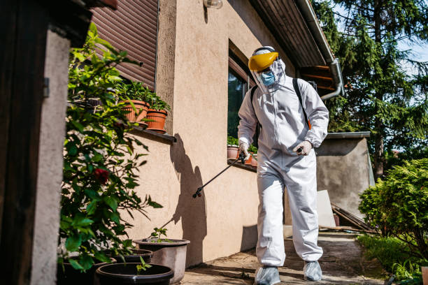 Best Mosquito Control Services  in New York, NY