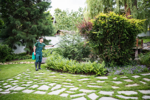 Best Commercial Pest Control Services  in New York, NY