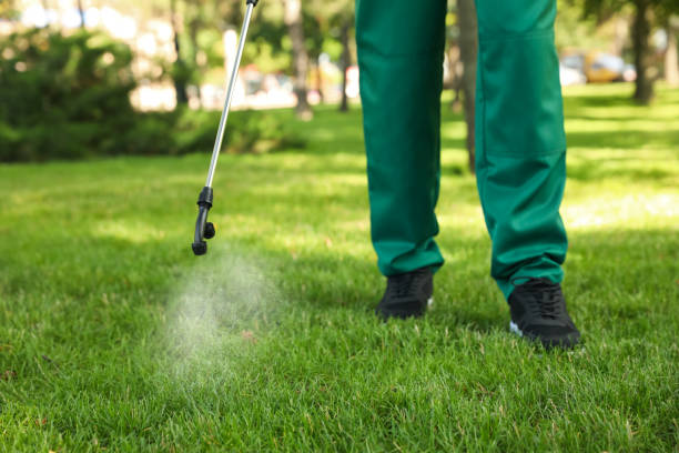  New York, NY Pest Control Pros
