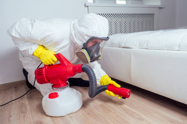Best Bed Bug Extermination  in New York, NY