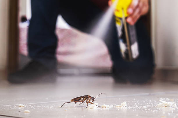Best Termite Control Services  in New York, NY