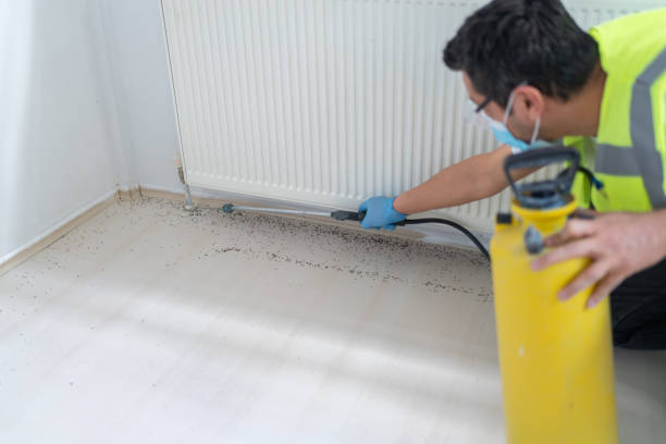 Best Rat Extermination Near Me  in New York, NY